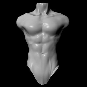 3d male torso model
