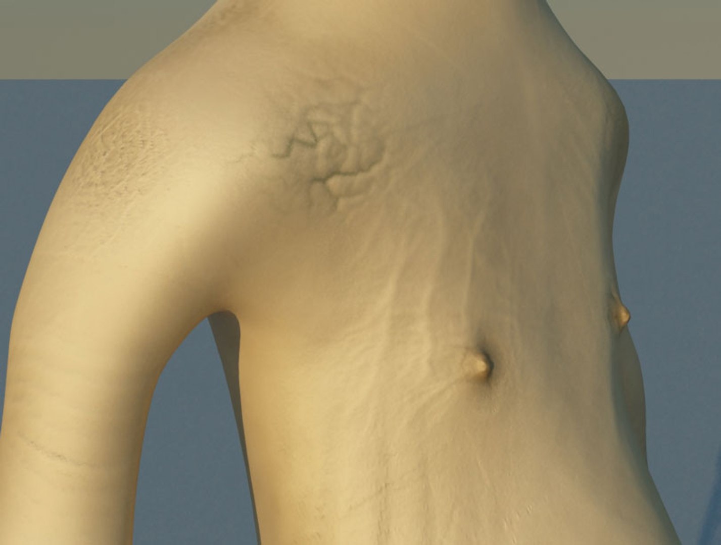 3d nude human model https://p.turbosquid.com/ts-thumb/OT/ToHzee/a6f3F1bg/15/jpg/1334406925/1920x1080/fit_q87/e8677d8daa989249a21ddf1925a21575c570d4e5/15.jpg