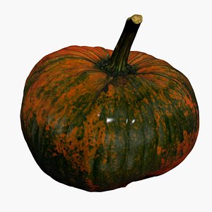 Pumpkin 3D Scan High Quality