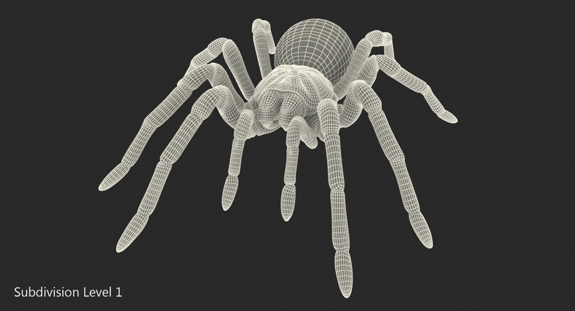 3D goliath birdeater fur - TurboSquid 1258129