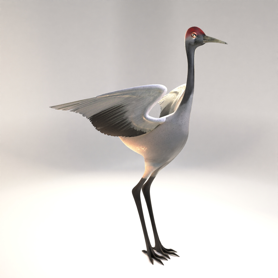 Crane Model - TurboSquid 1898276
