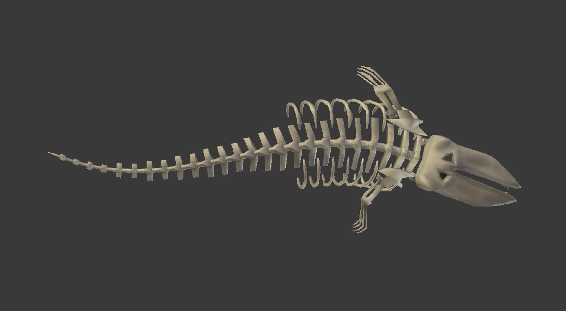 Skeleton blue whale 3D model - TurboSquid 1701161