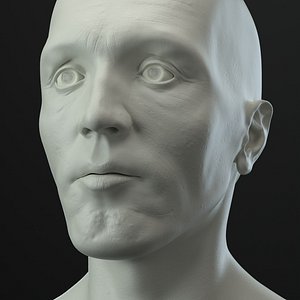 3D male head