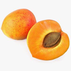 Half of Apricot 3D model