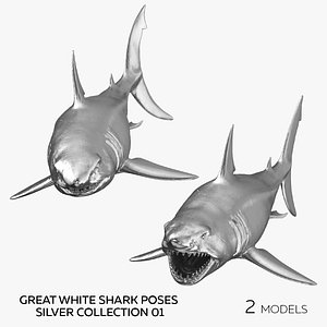 3D Great White Shark Poses Silver Collection 01 - 2 models