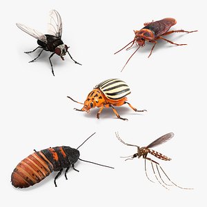 Rigged Insect Pests Collection