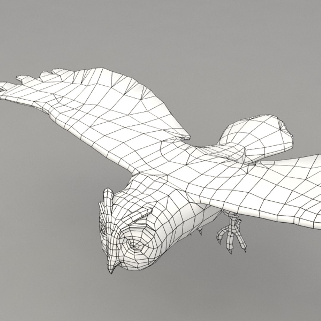 3d Rigged Owl Model