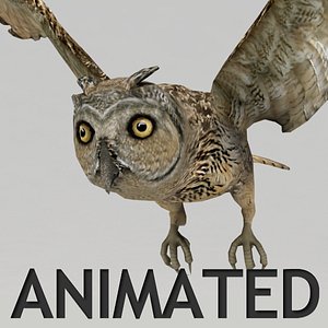 3D model Bubo the Owl VR / AR / low-poly