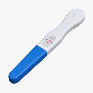 Pregnancy test 3D model