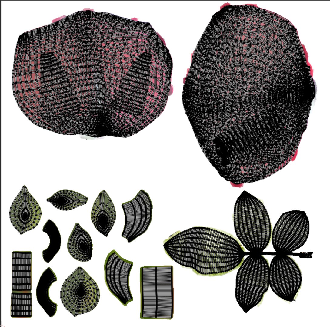3D Red Rose model https://p.turbosquid.com/ts-thumb/OU/RYslES/21/uvrose/jpg/1714652284/1920x1080/fit_q87/8a4d8f4944181ec816ffaa1b9b870f2c65f58bfa/uvrose.jpg