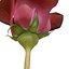 3D Red Rose model