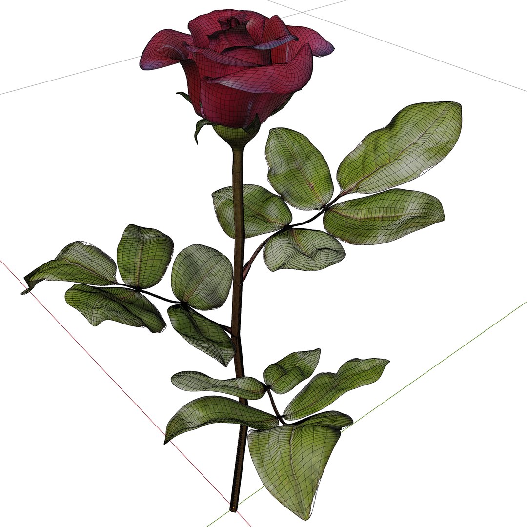 3D Red Rose model https://p.turbosquid.com/ts-thumb/OU/RYslES/Dr/rose9/png/1714651893/1920x1080/fit_q87/408ccc931b72ae482f952a92401fb9339ea71616/rose9.jpg