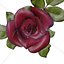 3D Red Rose model