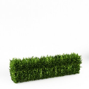bush hedge max