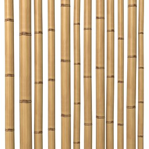 Bamboo Stem Dry oriental interior decoration