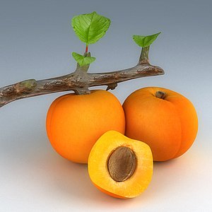peaches obj