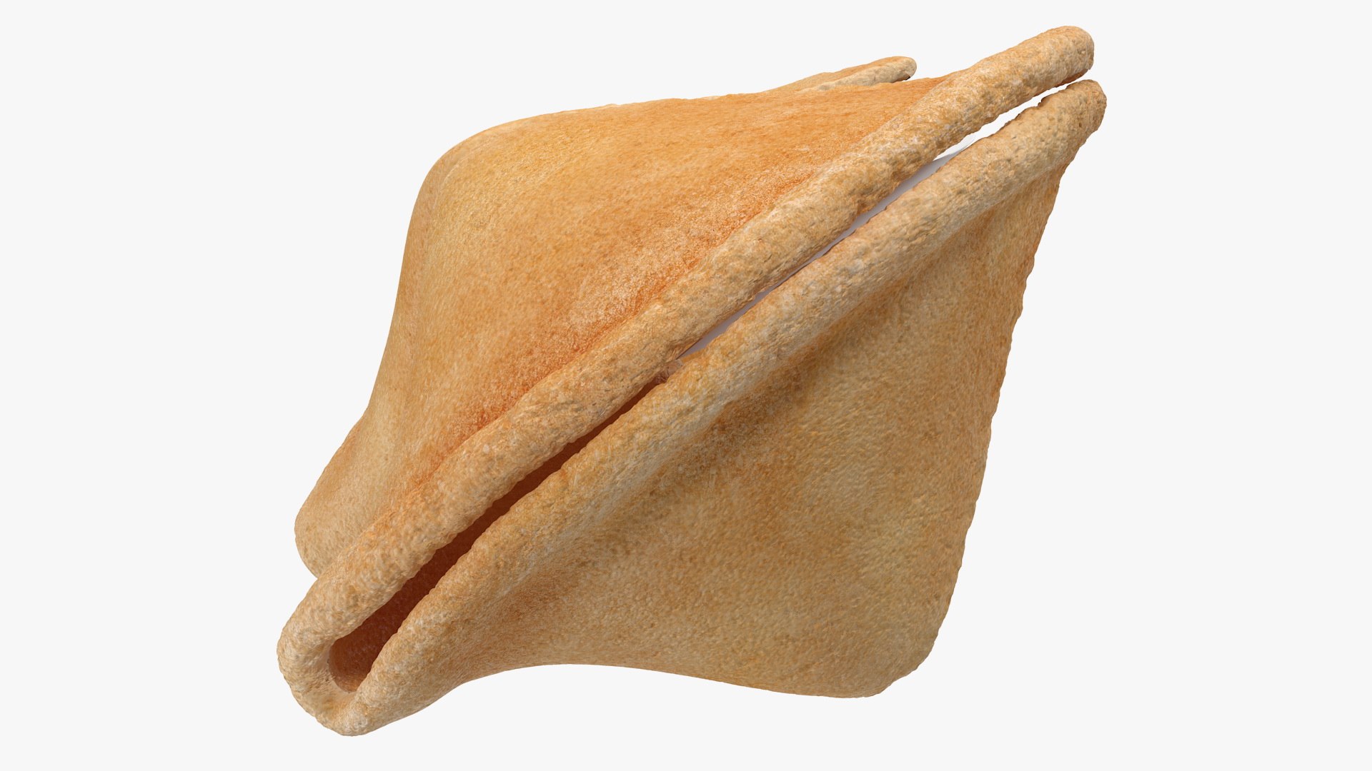 Open fortune cookie message 3D model - TurboSquid 1528503