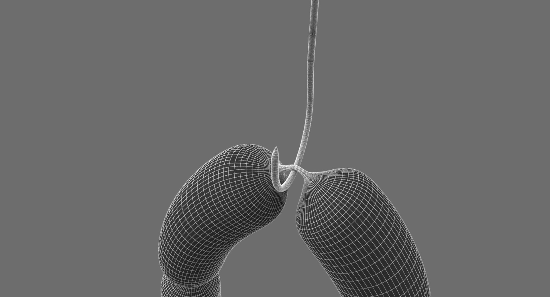 3D sausages hook model https://p.turbosquid.com/ts-thumb/OV/24V1K0/YCdFPHXS/sausages_hook13/jpg/1527194402/1920x1080/fit_q87/2dc83c530f5f977466c67afb99f4d56443789d2b/sausages_hook13.jpg