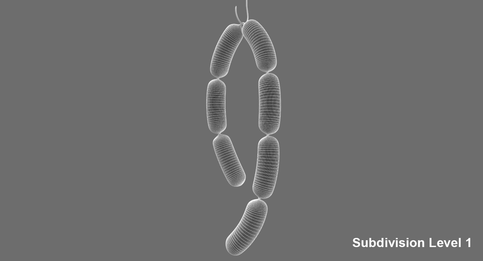 3D sausages hook model https://p.turbosquid.com/ts-thumb/OV/24V1K0/swq1yjAT/sausages_hook11/jpg/1527194402/1920x1080/fit_q87/838be1748d69016d94b18a38424f956ce8735249/sausages_hook11.jpg