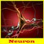 Neuron