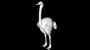 3D ostrich bird model
