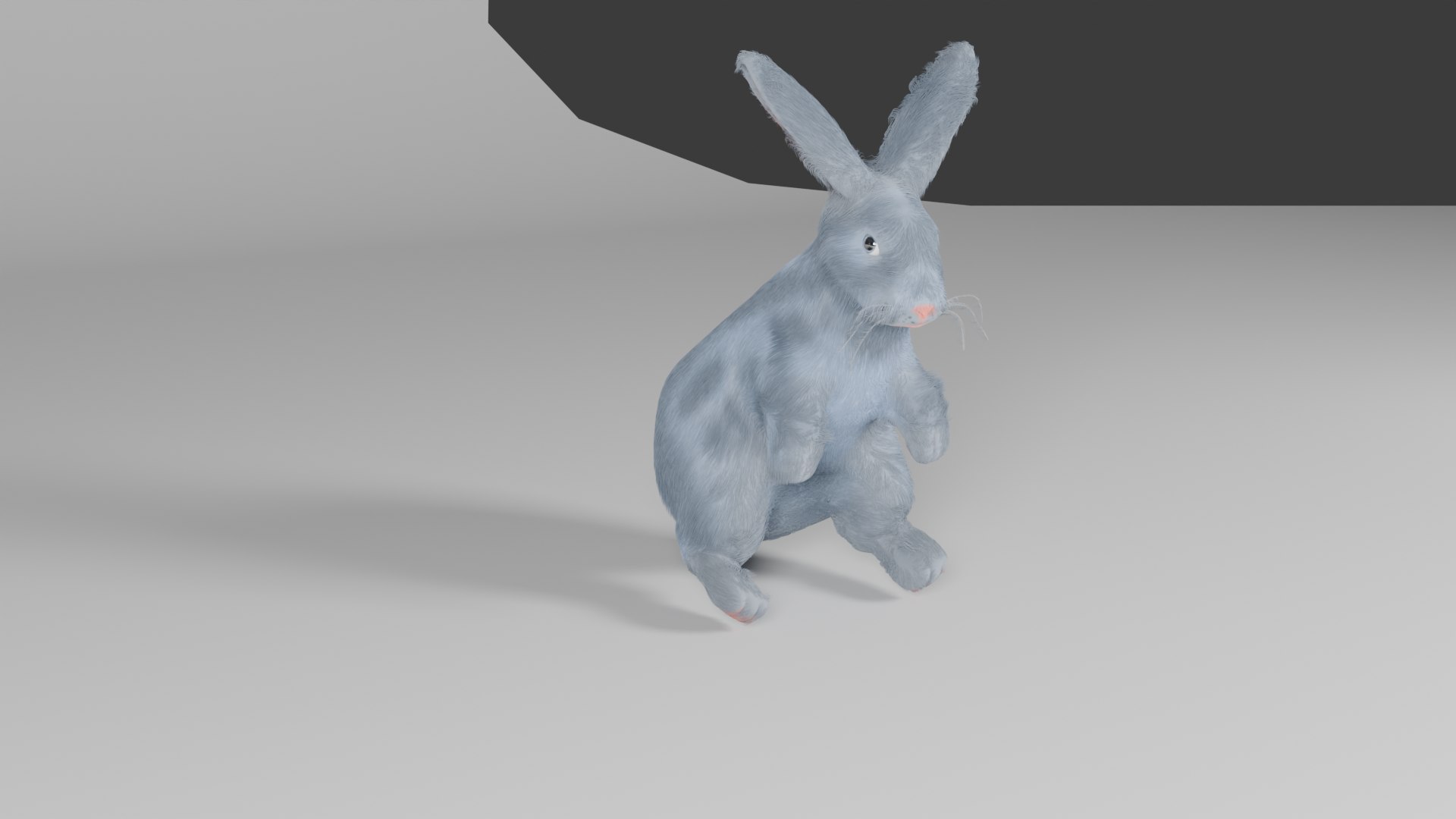 3D Rabbit 3d Model - TurboSquid 2420816