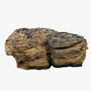 Limestone Boulder