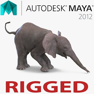 Baby Elephant Rigged for Maya 3D Model