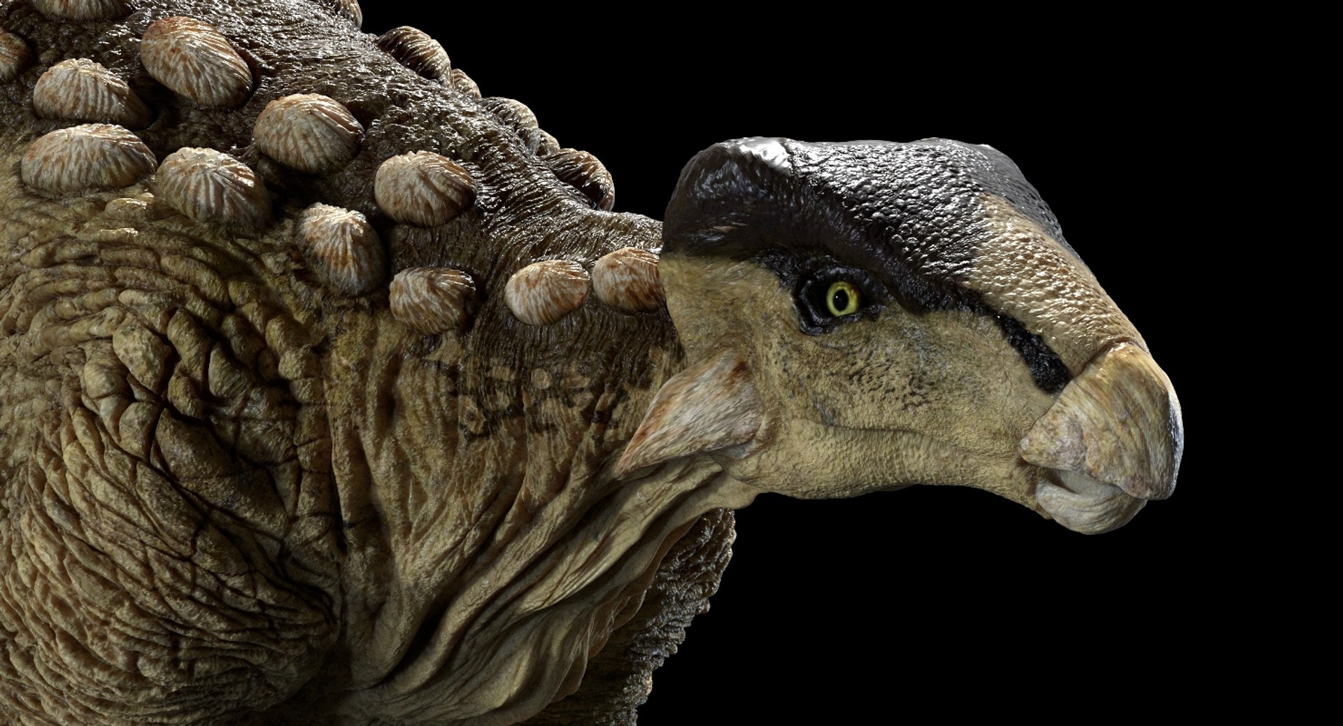 3D Realistic Rig Model - TurboSquid 1414727