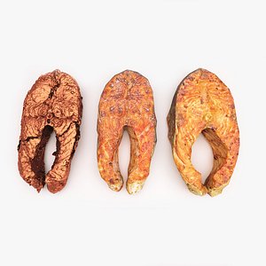 3D model Salmon and Trout steaks PBR and 3dcan