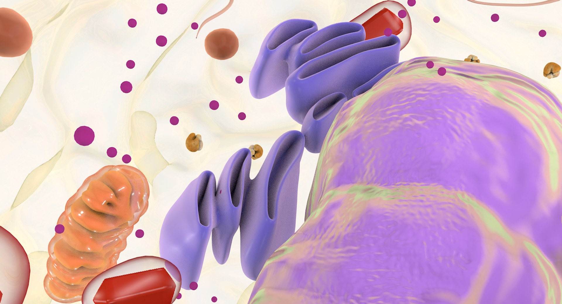 3D white blood eosinophil https://p.turbosquid.com/ts-thumb/OV/RvuYwl/4rcWSdtm/eosinophil_11/jpg/1521983168/1920x1080/fit_q87/2429db5b2653d14cf5067b45d56b54966b9c2b75/eosinophil_11.jpg