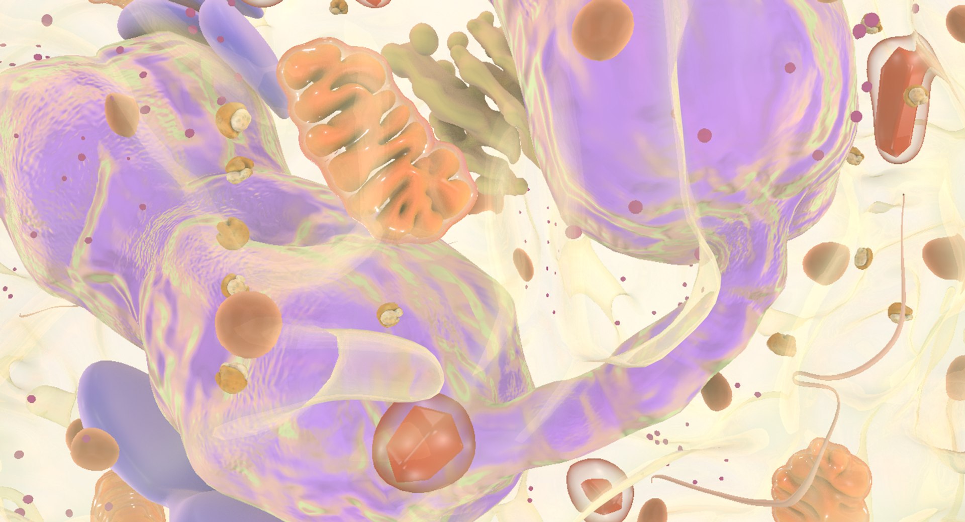 3D white blood eosinophil https://p.turbosquid.com/ts-thumb/OV/RvuYwl/UolF4LXv/eosinophil_14/jpg/1521983168/1920x1080/fit_q87/a1532be60dfb08de6c8a374e9d050eded1dc9655/eosinophil_14.jpg