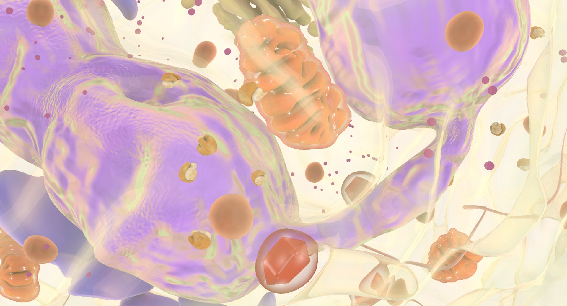 3D white blood eosinophil https://p.turbosquid.com/ts-thumb/OV/RvuYwl/YSBhFJem/eosinophil_12/jpg/1521983168/1920x1080/fit_q87/ab829177f8f1a4b750365ae00695b44dc0267efa/eosinophil_12.jpg