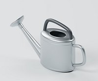 Galvanised Watering Can with Perforated Rose and Twin Handles