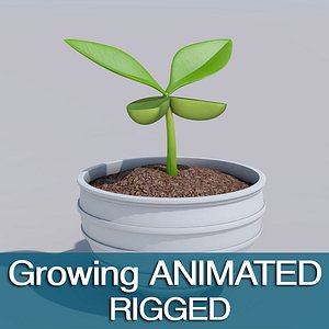 Sprout
