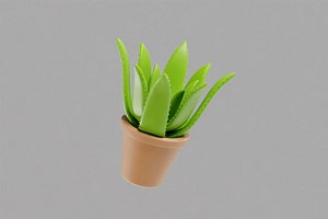 3D Aloe Vera plant