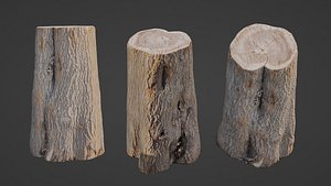 Log 3D model