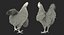 chicken evolution chick 3D model