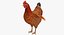 chicken evolution chick 3D model