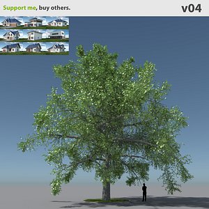Tree Oak V4
