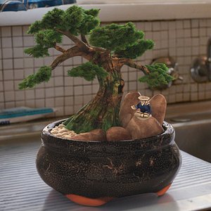 Bonsai Tree