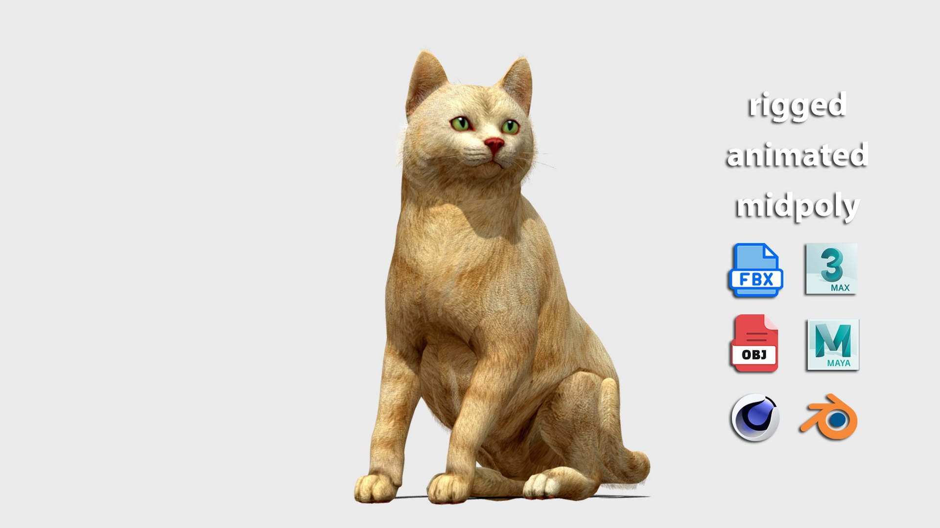 3D 3D Rigged Cat Animation model https://p.turbosquid.com/ts-thumb/OV/sAEfIB/bV/a1/jpg/1772791899/1920x1080/fit_q87/de0821c197403f0b2a19c02386fb8062ee6fc4e0/a1.jpg