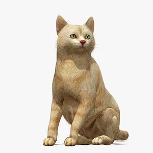 3D Rigged Cat Animation