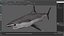 Realistic Shortfin Mako Shark