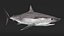 Realistic Shortfin Mako Shark