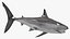 Realistic Shortfin Mako Shark