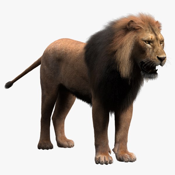 3d model of lion fur