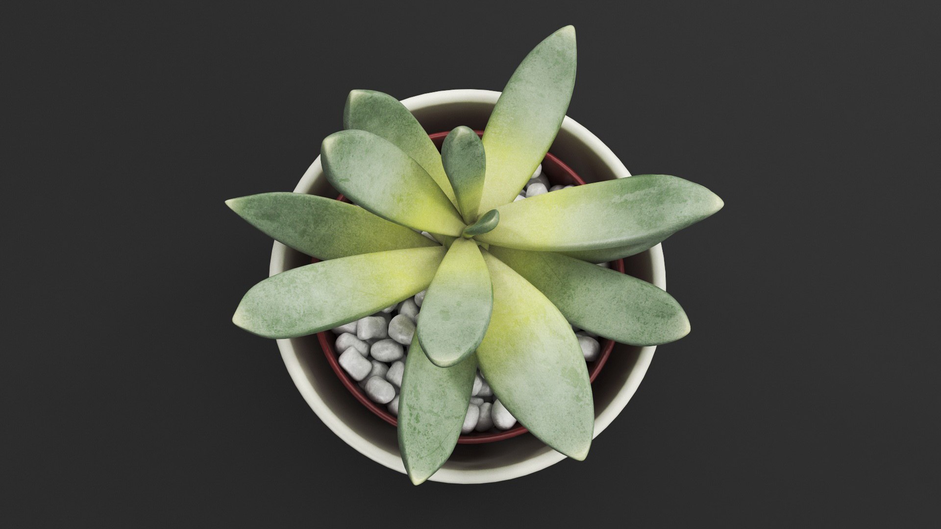 Decorative Indoor Plant model https://p.turbosquid.com/ts-thumb/OW/53fjlq/Fe/decorativeindoorplant3dmodel007/jpg/1662686703/1920x1080/fit_q87/9238867f80af1341457c1fb59c92c48235a6ed8b/decorativeindoorplant3dmodel007.jpg