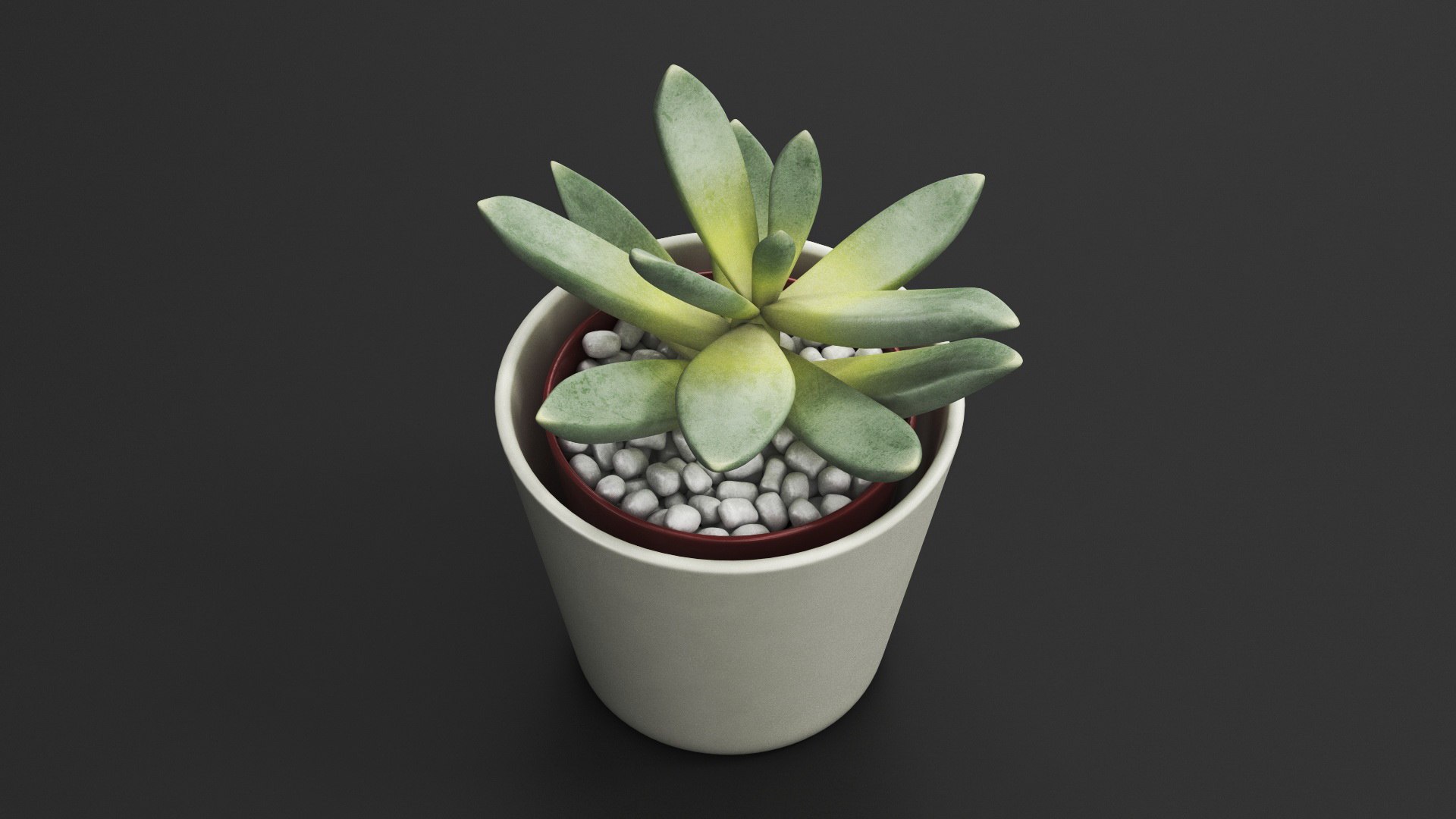 Decorative Indoor Plant model https://p.turbosquid.com/ts-thumb/OW/53fjlq/Hj/decorativeindoorplant3dmodel004/jpg/1662686693/1920x1080/fit_q87/2191b5d1ca1e48787594117f950deaa5eb4afc2f/decorativeindoorplant3dmodel004.jpg