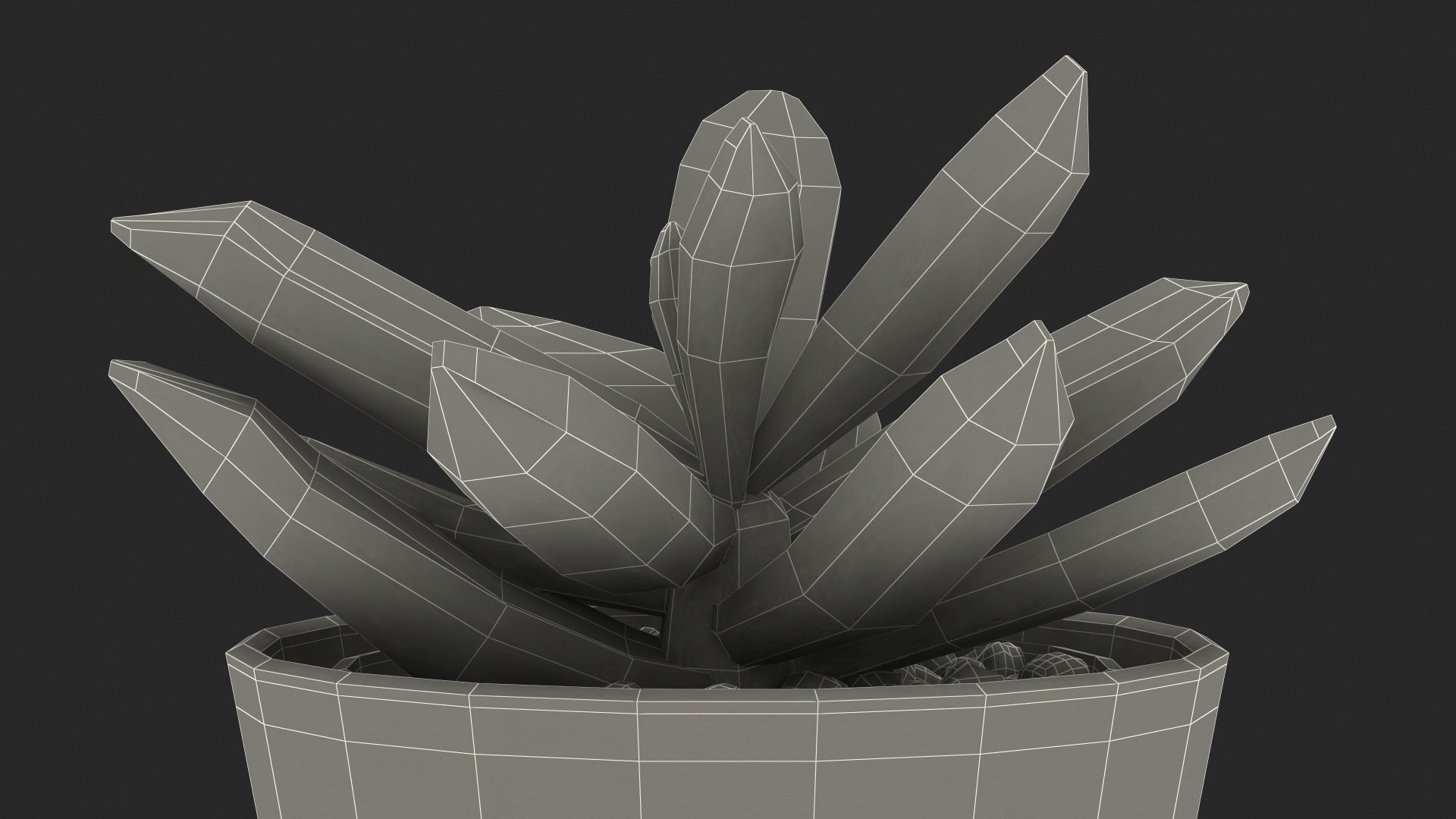 Decorative Indoor Plant model https://p.turbosquid.com/ts-thumb/OW/53fjlq/bA/decorativeindoorplant3dmodel014/jpg/1662686726/1920x1080/fit_q87/a6824491be8ed28c2e63c85cbc40f4dc3bbc9e79/decorativeindoorplant3dmodel014.jpg